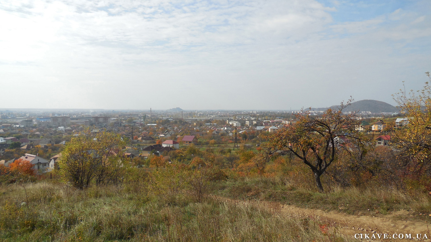 панорама Мукачево з видом на замок